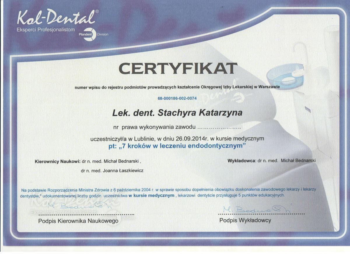 Stachyra02